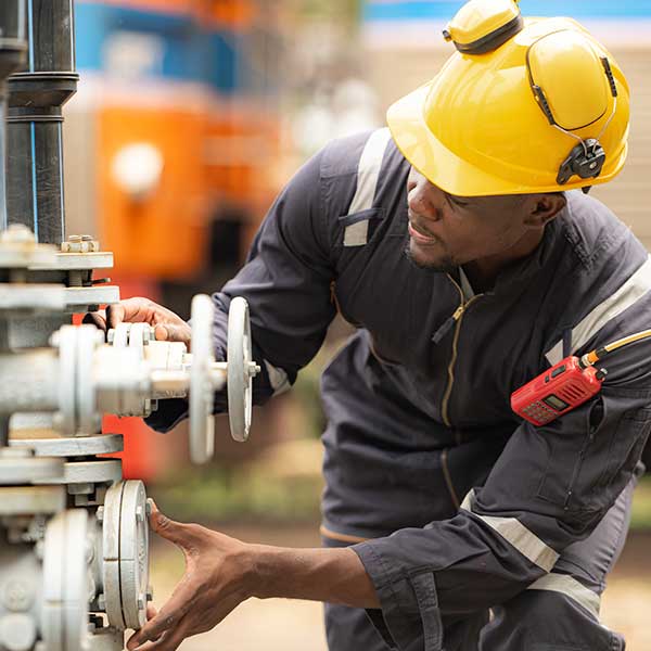 Gestión directa Nerthus